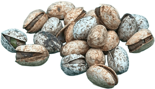 Chili Mix Pistachios Image